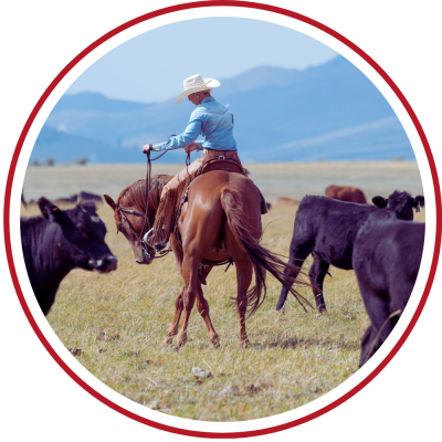 Western