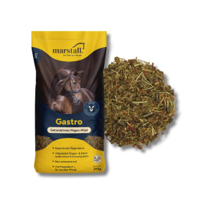 Gastro 20kg