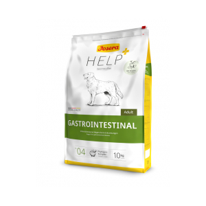 Gastrointestinal Dog*