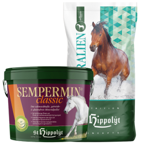 SemperMin Classic - verschiedene Größen