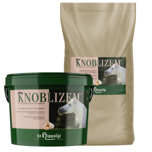 Knoblizem - verschiedene Größen