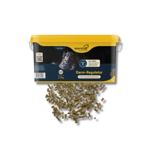 Darm-Regulator 10kg
