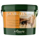 Beta-Carotin-Mare-Y-Mix 3 kg