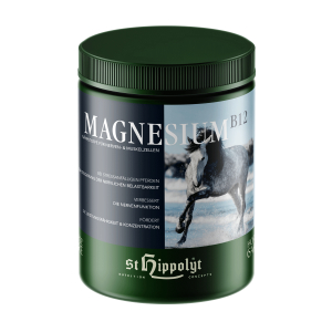 Magnesium B12 1kg