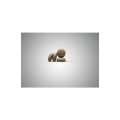 MiniDeluxe 5x900g**wird zu Mini Adult Lamb**