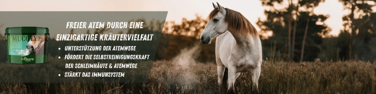 zum Produkt...